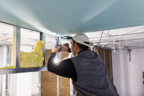 Best Energy Efficiency Insulation in Tylertown, MS