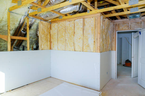 Best Eco-Friendly Insulation in Tylertown, MS