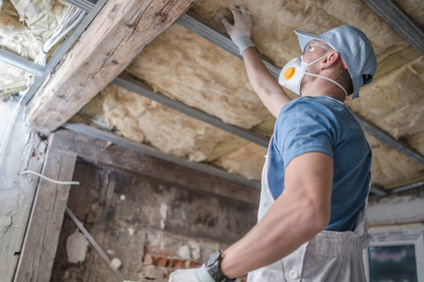 Best Specialized Insulation Services in Tylertown, MS