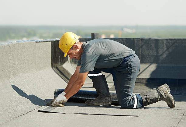 Best Spray Foam Insulation in Tylertown, MS